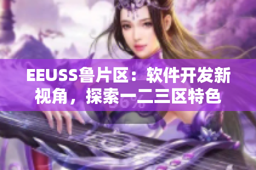 EEUSS魯片區(qū)：軟件開發(fā)新視角，探索一二三區(qū)特色