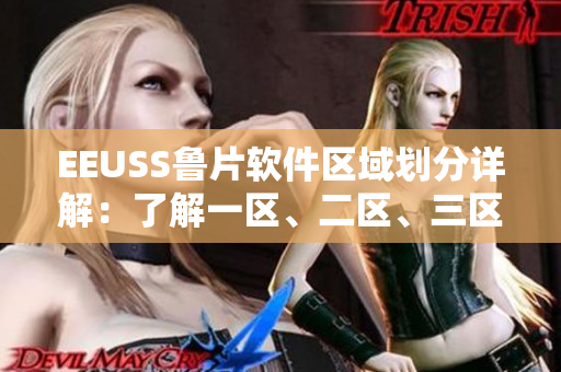 EEUSS魯片軟件區(qū)域劃分詳解：了解一區(qū)、二區(qū)、三區(qū)的功能差異
