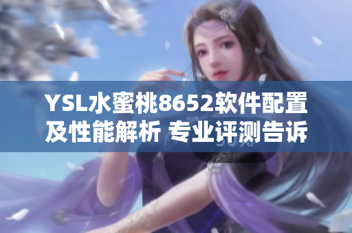 YSL水蜜桃8652軟件配置及性能解析 專業(yè)評(píng)測(cè)告訴你一切