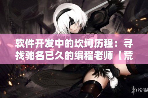 軟件開發(fā)中的坎坷歷程：尋找馳名已久的編程老師【荒野大鏢客老奶奶】