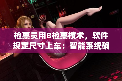 檢票員用B檢票技術，軟件規(guī)定尺寸上車：智能系統(tǒng)確保乘客準確乘車