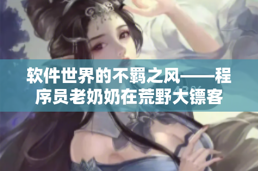 軟件世界的不羈之風——程序員老奶奶在荒野大鏢客
