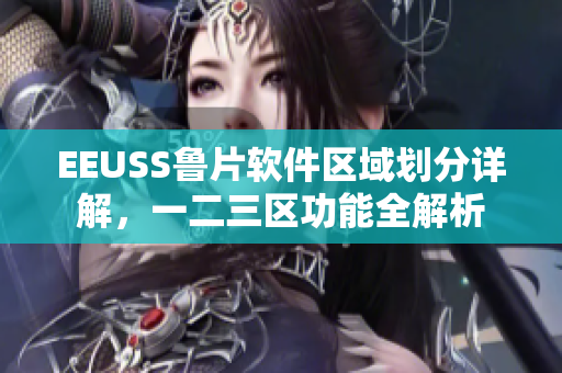 EEUSS魯片軟件區(qū)域劃分詳解，一二三區(qū)功能全解析