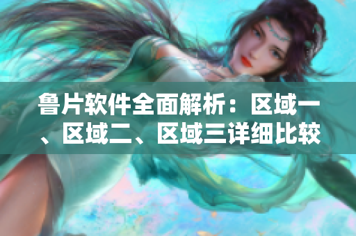 魯片軟件全面解析：區(qū)域一、區(qū)域二、區(qū)域三詳細(xì)比較