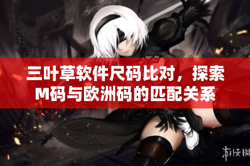 三葉草軟件尺碼比對，探索M碼與歐洲碼的匹配關(guān)系