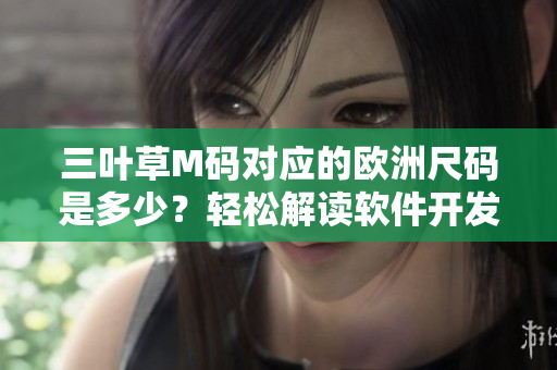 三葉草M碼對應(yīng)的歐洲尺碼是多少？輕松解讀軟件開發(fā)中的尺碼轉(zhuǎn)換技巧