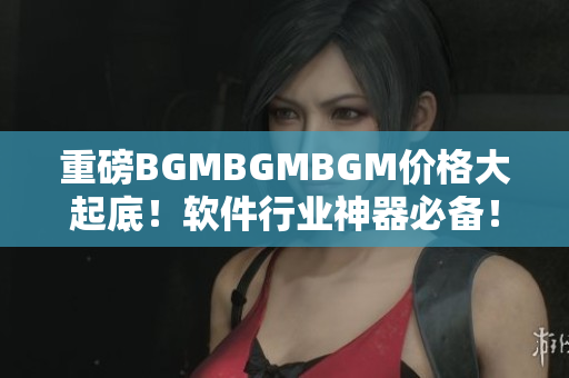 重磅BGMBGMBGM價格大起底！軟件行業(yè)神器必備！