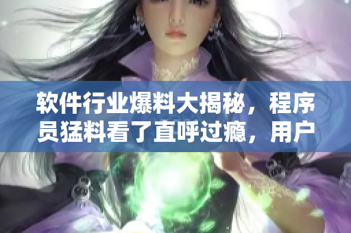 軟件行業(yè)爆料大揭秘，程序員猛料看了直呼過癮，用戶跟帖熱議