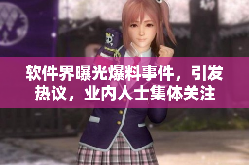 軟件界曝光爆料事件，引發(fā)熱議，業(yè)內(nèi)人士集體關(guān)注