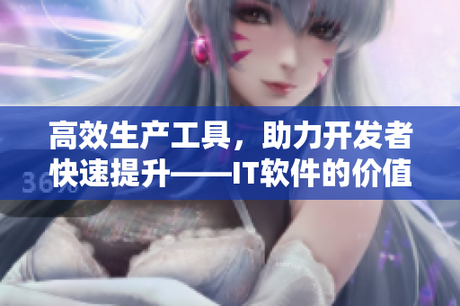 高效生產(chǎn)工具，助力開發(fā)者快速提升——IT軟件的價(jià)值與戰(zhàn)略意義