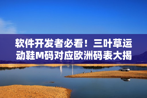 軟件開發(fā)者必看！三葉草運動鞋M碼對應(yīng)歐洲碼表大揭秘