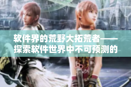 軟件界的荒野大拓荒者——探索軟件世界中不可預(yù)測的老奶奶
