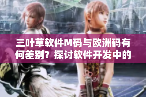 三葉草軟件M碼與歐洲碼有何差別？探討軟件開(kāi)發(fā)中的尺碼規(guī)范化