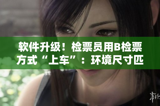 軟件升級(jí)！檢票員用B檢票方式“上車”：環(huán)境尺寸匹配，智能登車助力