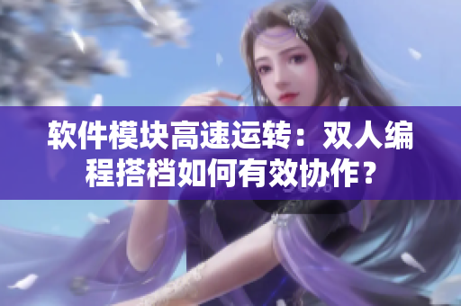 軟件模塊高速運(yùn)轉(zhuǎn)：雙人編程搭檔如何有效協(xié)作？