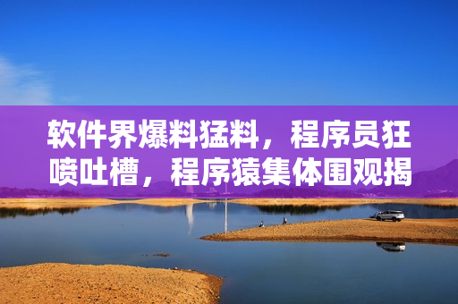 軟件界爆料猛料，程序員狂噴吐槽，程序猿集體圍觀揭秘！