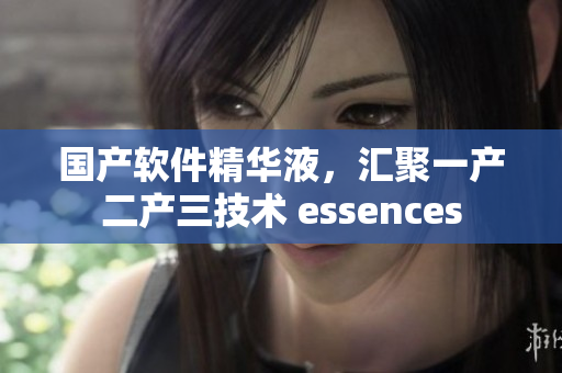 國產(chǎn)軟件精華液，匯聚一產(chǎn)二產(chǎn)三技術(shù) essences