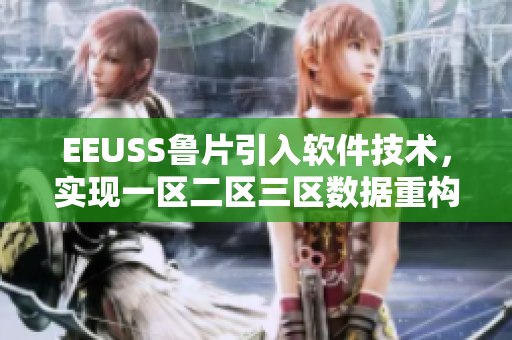 EEUSS魯片引入軟件技術，實現(xiàn)一區(qū)二區(qū)三區(qū)數(shù)據(jù)重構