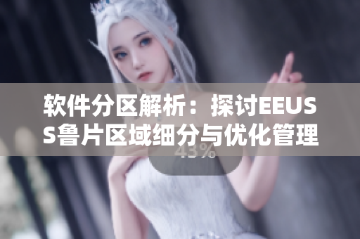 軟件分區(qū)解析：探討EEUSS魯片區(qū)域細分與優(yōu)化管理