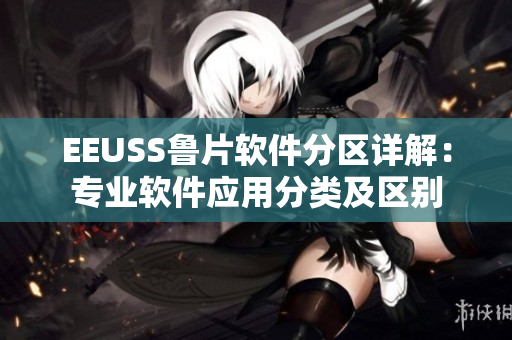 EEUSS魯片軟件分區(qū)詳解：專業(yè)軟件應(yīng)用分類及區(qū)別