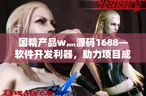 國精產(chǎn)品w灬源碼1688—軟件開發(fā)利器，助力項目成功上線