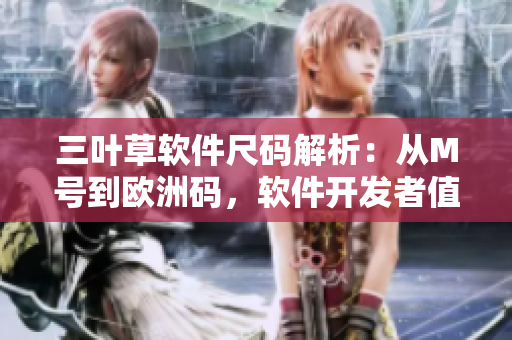 三葉草軟件尺碼解析：從M號到歐洲碼，軟件開發(fā)者值得了解的尺碼區(qū)別