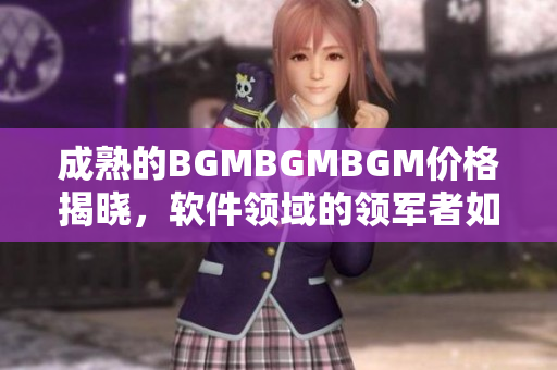 成熟的BGMBGMBGM價格揭曉，軟件領(lǐng)域的領(lǐng)軍者如何選擇最佳合作伙伴？