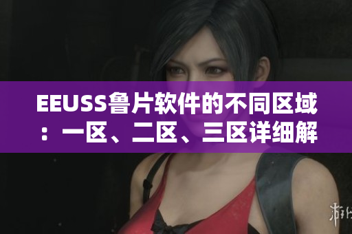 EEUSS魯片軟件的不同區(qū)域：一區(qū)、二區(qū)、三區(qū)詳細(xì)解析