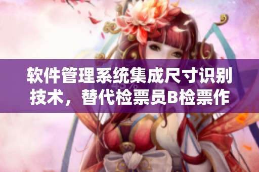軟件管理系統(tǒng)集成尺寸識別技術(shù)，替代檢票員B檢票作業(yè)