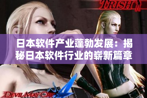日本軟件產(chǎn)業(yè)蓬勃發(fā)展：揭秘日本軟件行業(yè)的嶄新篇章