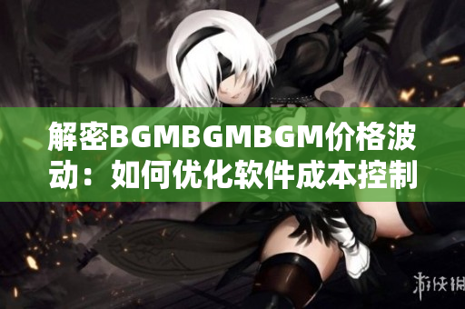解密BGMBGMBGM價格波動：如何優(yōu)化軟件成本控制策略？