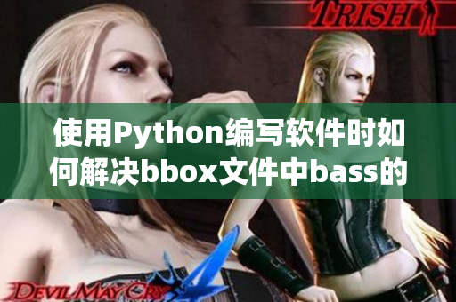 使用Python編寫軟件時(shí)如何解決bbox文件中bass的問題