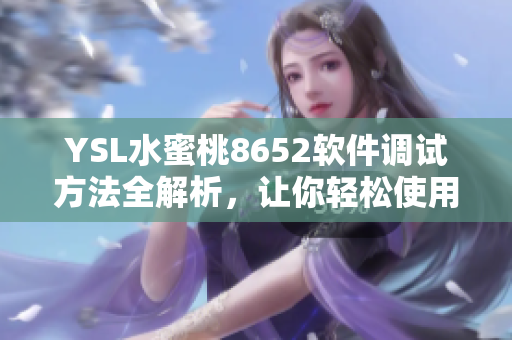 YSL水蜜桃8652軟件調(diào)試方法全解析，讓你輕松使用軟件！