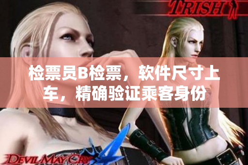 檢票員B檢票，軟件尺寸上車，精確驗(yàn)證乘客身份