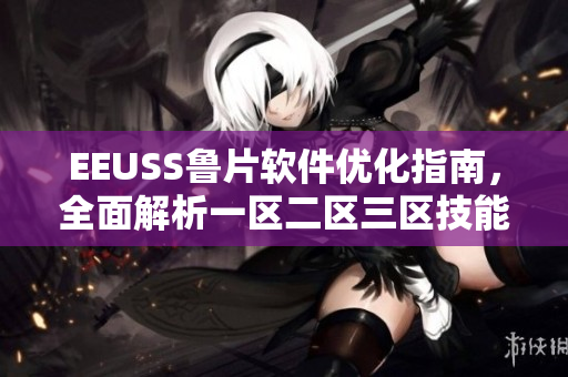 EEUSS魯片軟件優(yōu)化指南，全面解析一區(qū)二區(qū)三區(qū)技能提升
