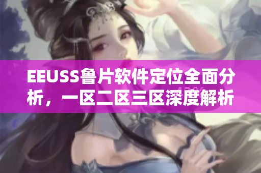 EEUSS魯片軟件定位全面分析，一區(qū)二區(qū)三區(qū)深度解析