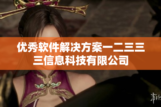 優(yōu)秀軟件解決方案一二三三三信息科技有限公司