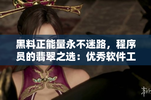 黑料正能量永不迷路，程序員的翡翠之選：優(yōu)秀軟件工程師必備的技能與經(jīng)驗(yàn)