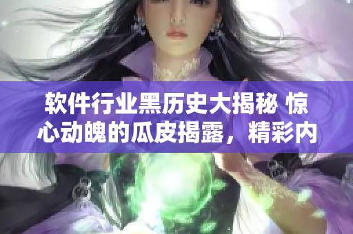軟件行業(yè)黑歷史大揭秘 驚心動(dòng)魄的瓜皮揭露，精彩內(nèi)幕揭曉，引發(fā)網(wǎng)友熱議