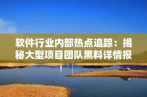 軟件行業(yè)內(nèi)部熱點追蹤：揭秘大型項目團(tuán)隊黑料詳情報道