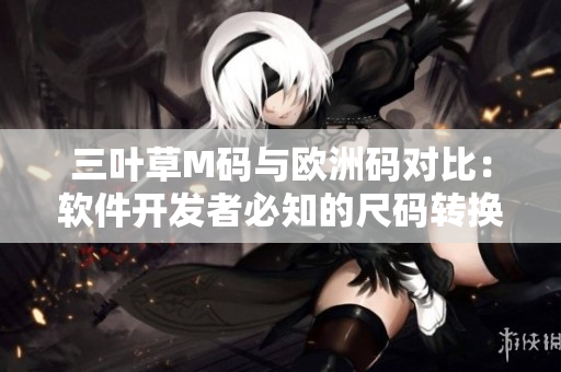 三葉草M碼與歐洲碼對比：軟件開發(fā)者必知的尺碼轉(zhuǎn)換技巧