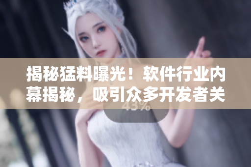 揭秘猛料曝光！軟件行業(yè)內幕揭秘，吸引眾多開發(fā)者關注