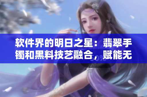 軟件界的明日之星：翡翠手鐲和黑料技藝融合，賦能無(wú)限創(chuàng)新力量