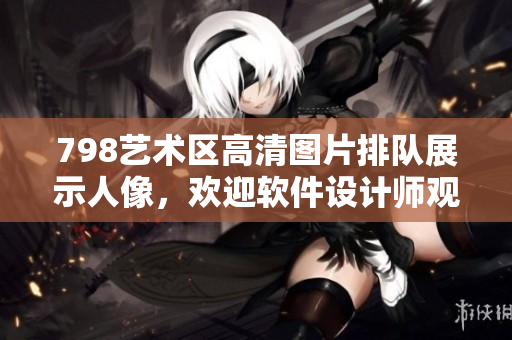 798藝術(shù)區(qū)高清圖片排隊(duì)展示人像，歡迎軟件設(shè)計(jì)師觀賞