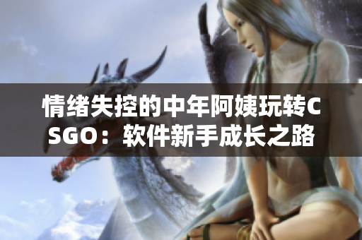 情緒失控的中年阿姨玩轉(zhuǎn)CSGO：軟件新手成長之路
