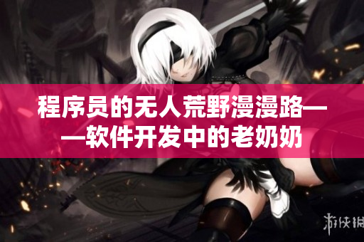 程序員的無人荒野漫漫路——軟件開發(fā)中的老奶奶