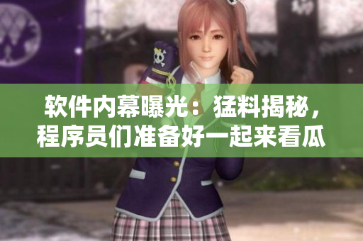 軟件內(nèi)幕曝光：猛料揭秘，程序員們準備好一起來看瓜了