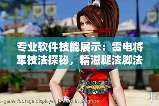 專(zhuān)業(yè)軟件技能展示：雷電將軍技法探秘，精湛腿法腳法實(shí)錄