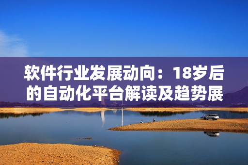 軟件行業(yè)發(fā)展動(dòng)向：18歲后的自動(dòng)化平臺(tái)解讀及趨勢(shì)展望