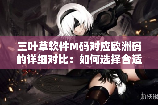 三葉草軟件M碼對(duì)應(yīng)歐洲碼的詳細(xì)對(duì)比：如何選擇合適的碼數(shù)？